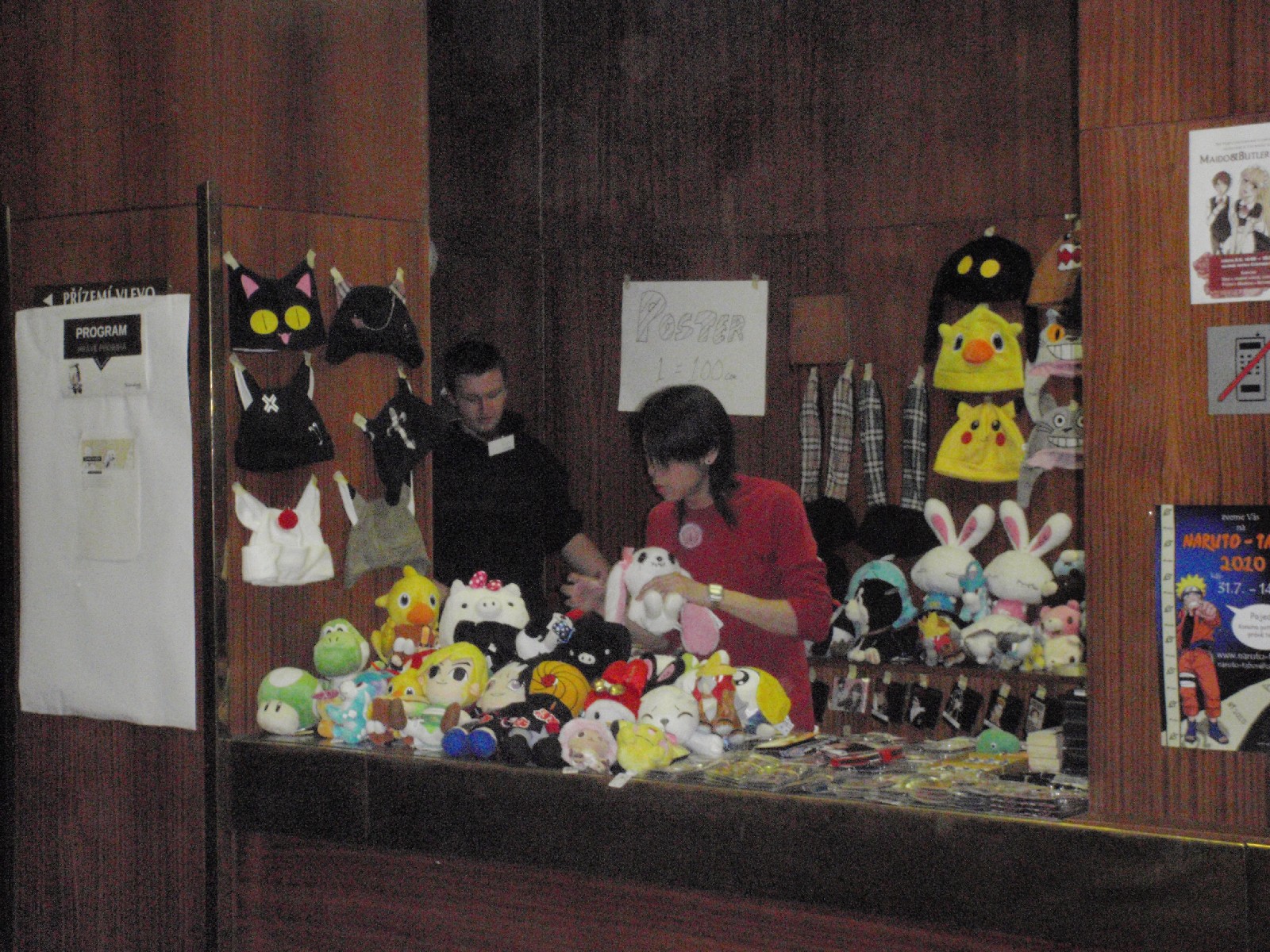 AnimeFest-2010-10
